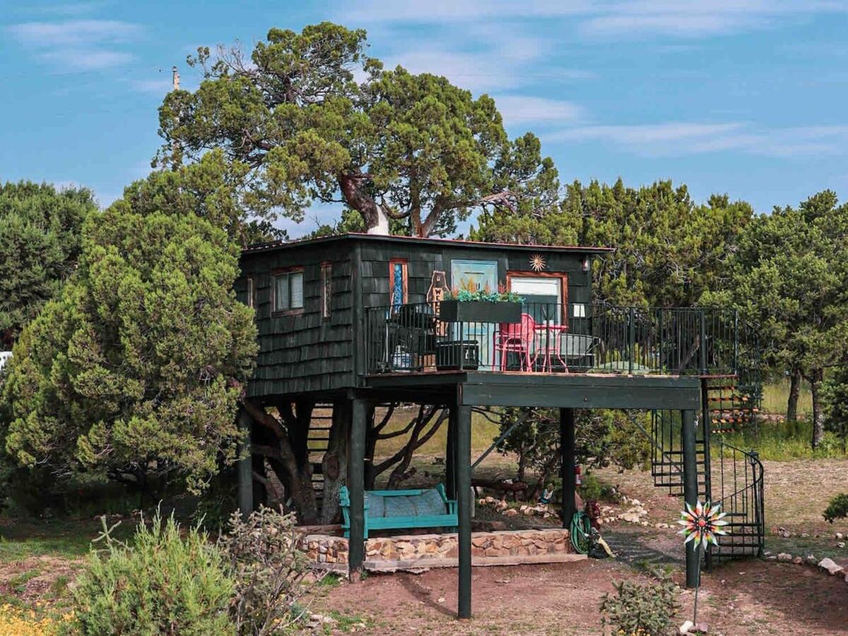Вилла Ashley'S Treehouse At El Mistico Ranch Nogal Экстерьер фото